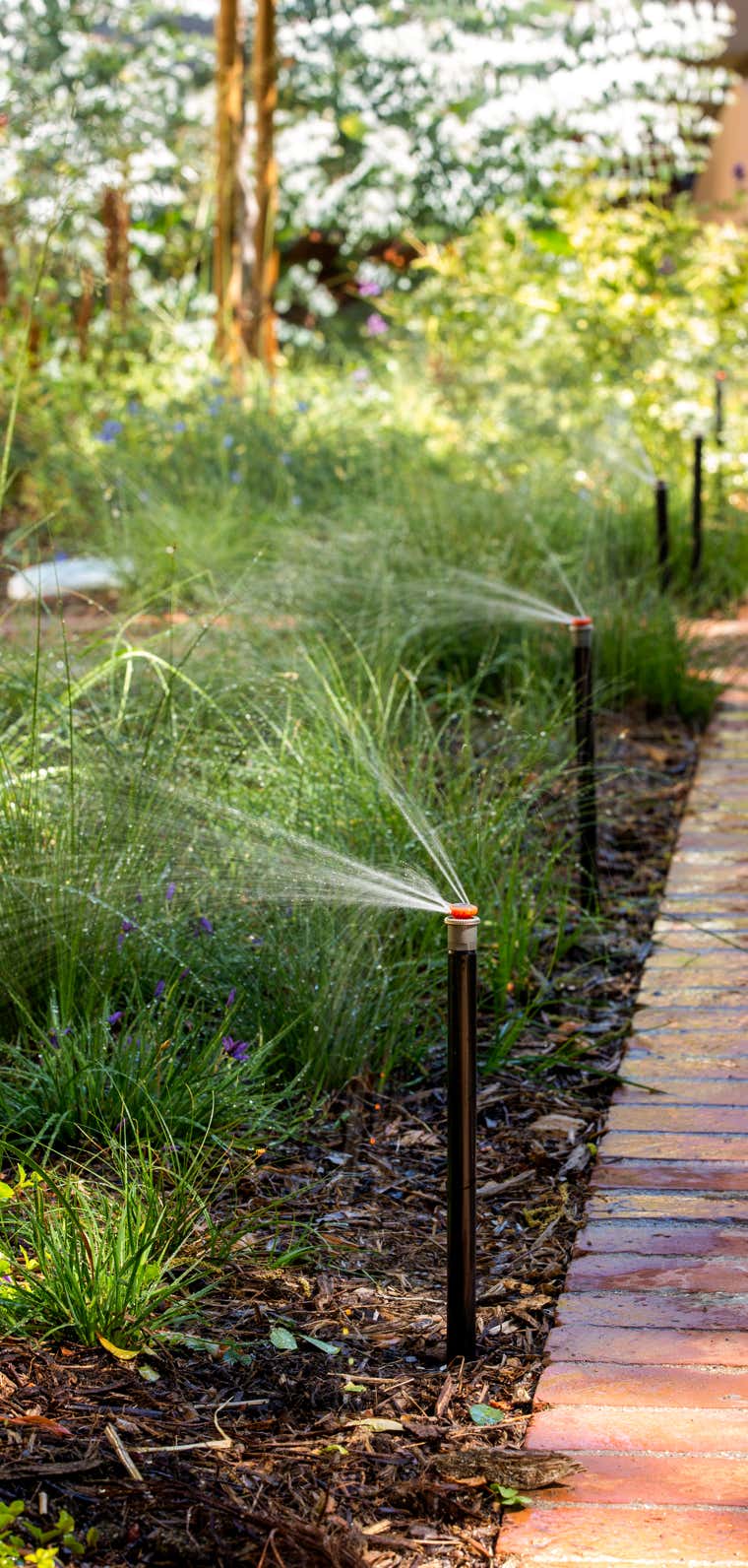 Garten Bewässerung Beregnung Bremen Hamburg Rotenburg Sportplatz Reitplatz Hunter Grundwasser Hydrawise